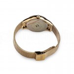 image.Montre pour Femmes FESTINA F16959 bracelet en maille Gold.Advanced Office