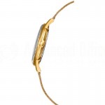 image.Montre pour Femmes FESTINA F20253 bracelet en maille Gold.Advanced office