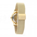 image.Montre pour Femmes FESTINA F20253 bracelet en maille Gold.Advanced office