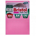 Pochette papier Bristol EXCELLES quadrille 5*5 A4 170g 100 Feuilles Rose  -  Advanced Office Algérie