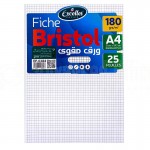 Pochette papier Bristol EXCELLES quadrille 5*5 A4 170g 25 Feuilles Blanc  -  Advanced Office Algérie