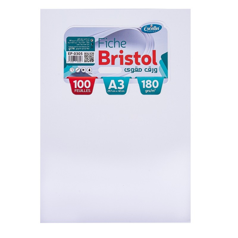Paquet de 100 fiches Bristol EXCELLES A4 170g /180g, Uni Blanc ALL WHAT  OFFICE NEEDS