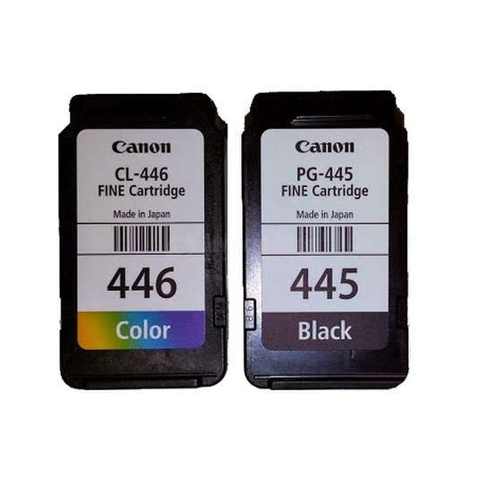 Pack de cartouche PG445/CL446 pour CANON Pixma IP2840/MG2440 ALL WHAT  OFFICE NEEDS